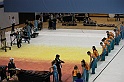 IMG_0319