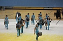 IMG_0322